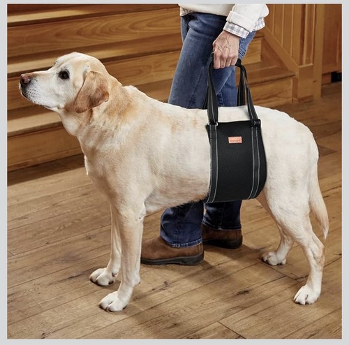 Dog lifting harness size - dog,