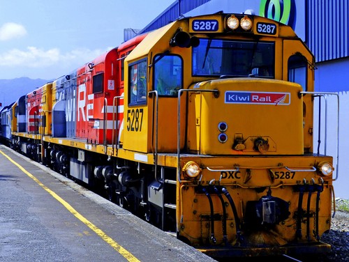 Fridge magnet kiwirail - fridge,