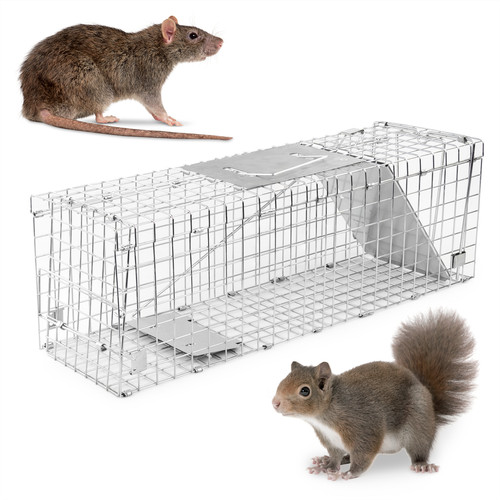 Humane squirrel trap rodent - squirrel,