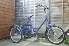 Adult-size Tricycle