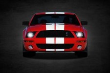 Poster - Mustang Shelby GT500