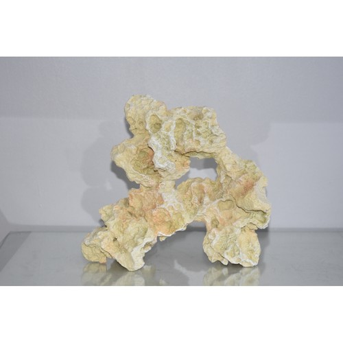 Stunning large detailed - detailed, coral