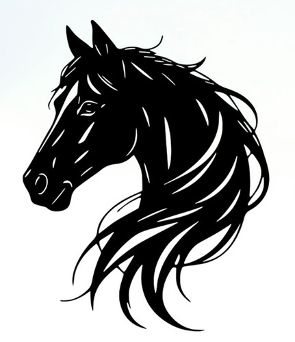 Large 23hx20w black horse box - 23hx20w,