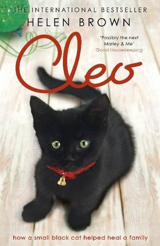 Cleo the cat - the,
