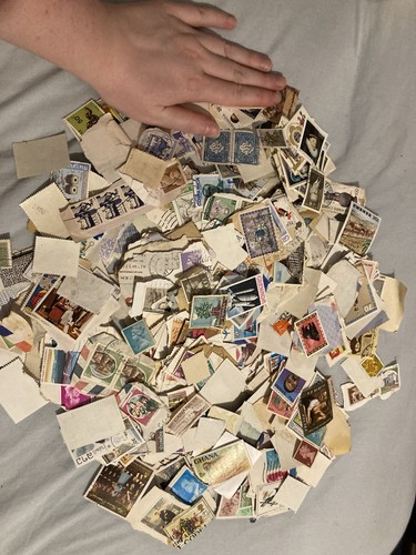 Stamp collection philatelic - stamp,