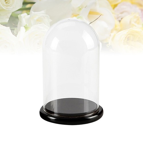 1pcs reusable glass - glass, cake