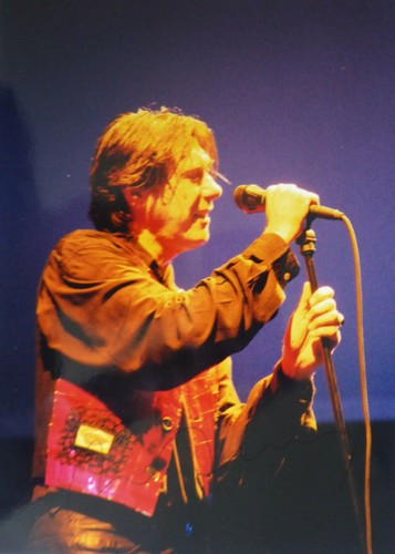 Bryan ferry roxy music - ferry,