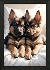 German Shepherd Pup Poster