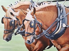 Suffolk Punch Horse - Canvas