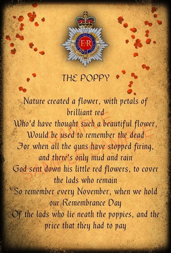 Regimental poppy photo - a4,