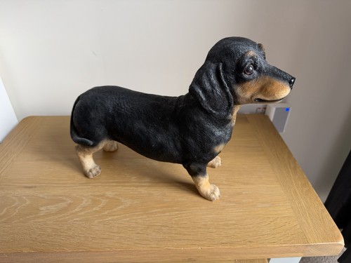 Realistic black tan - black,