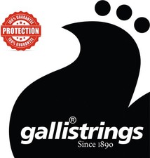 Irish Tenor Banjo Strings, Heavy, Nickel wound, Galli G1240 at Hobgoblin Music