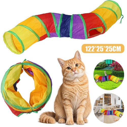 Colorful cat play - colorful, pet