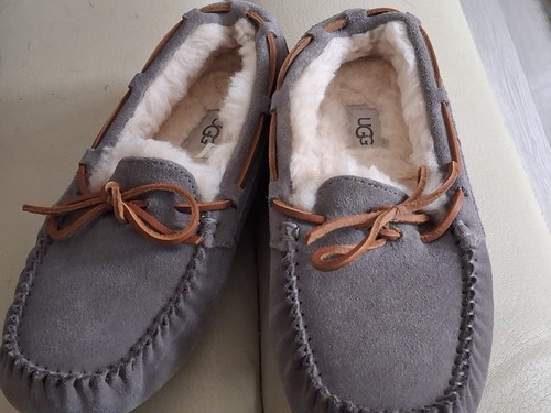 Ugg dakota women grey suede - dakota,