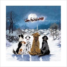 Fun Christmas Card Dogs Santa