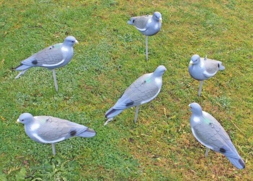 Garden pest pigeon decoy 6pc - pigeon,