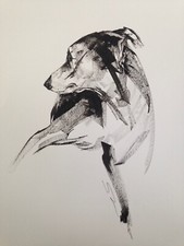 Original signed Ink sketch drawing of a Whippet Greyhound Lurcher A3