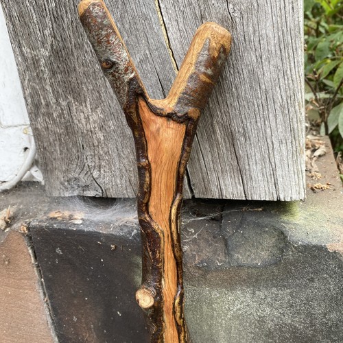 Handmade beech nut - nut, stick