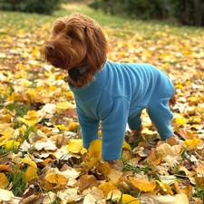 Warm Four Legged Dog Fleece - Available in Five Sizes & Five Colours