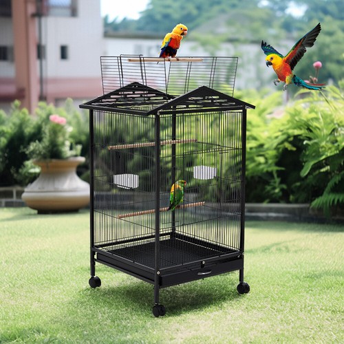 Large rolling parrot - rolling,