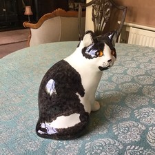 Winstanley Black/ White Cat