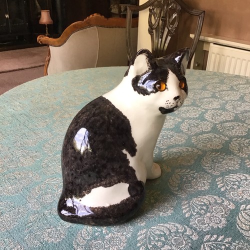 Winstanley black white cat - winstanley,