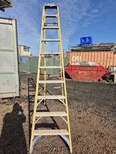 Werner 10 Tread Step Ladder