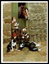 BORDER COLLIE DOGS SCOTS BOYS