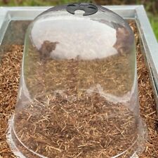 Garden Bell Cloches -