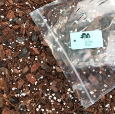 Orchid Bark Deluxe grade