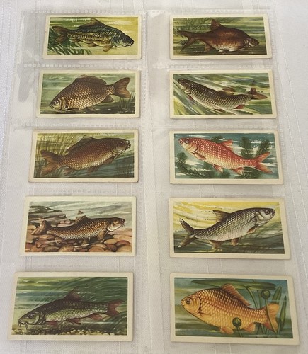 Brooke bond 1960 - bond, freshwater