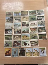Barratt’s Wild Animals Sweet Cigarette Cards X 35