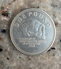 2013 Gibraltar £1 Coin