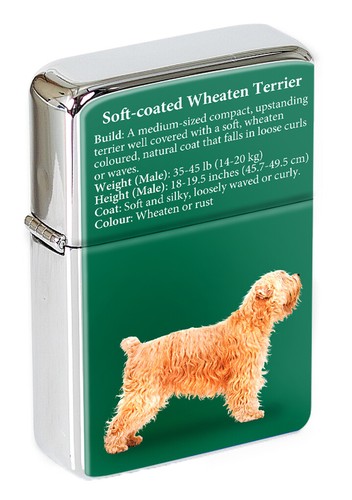 Soft coated wheaten terrier - soft,