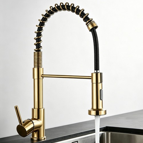 Gold kitchen sink - kitchen,