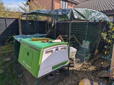 Omlet Cube Chicken Coop And