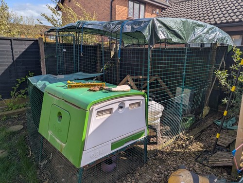 Omlet cube chicken coop - coop, and