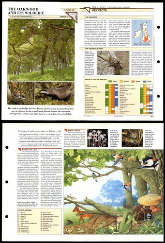 The marsh wildlife - the, &