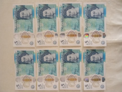 Uncirculated polymer 5 - uncirculated,