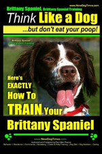Brittany Spaniel, Brittany