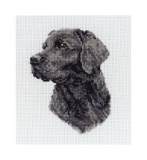 Anchor Cross Stitch Kit -