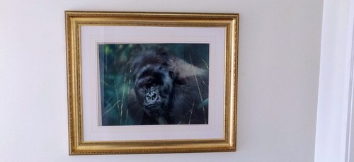 Joel kirk original framed and - joel,