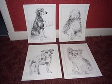  Rare Pollyanna Pickering Dog