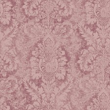 AF37712 - Abby Rose 4 Damask