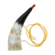 Blow horn trumpet sports - sports,