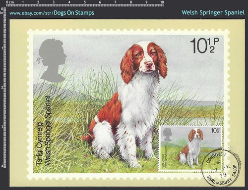 Wesp frame dog - it,