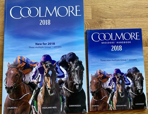 Sport horseracing coolmore - sport-horseracing-,