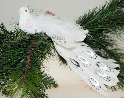Set white peacock clip on - set,