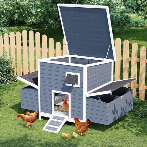 Wooden chicken coop - coop, hen