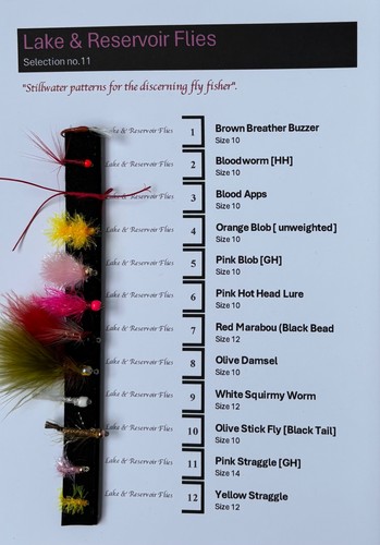 Selection flies for - selection,